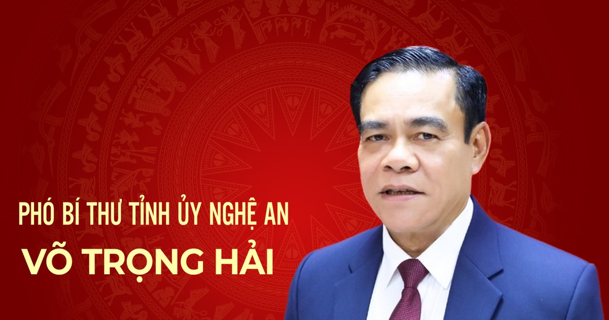 Infographic: Chân dung đồng chí Võ Trọng Hải - tân Phó Bí thư Tỉnh ủy Nghệ An