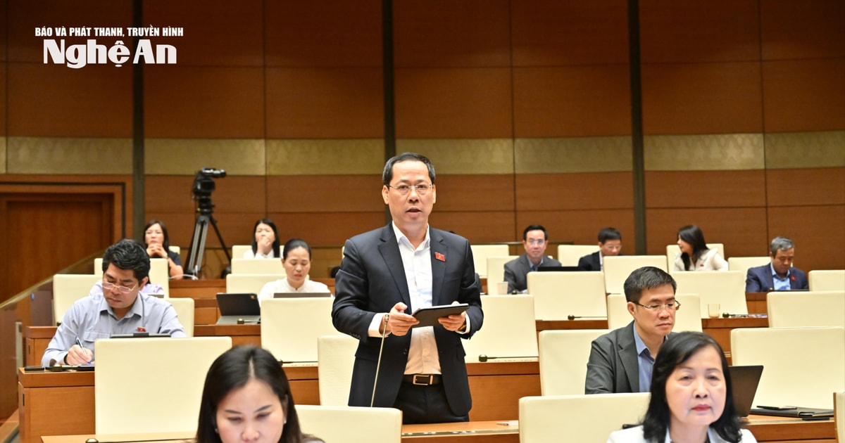 Đại biểu nêu nguyện vọng cấp thiết của cử tri vùng cao Nghệ An gửi gắm đến Quốc hội, Chính phủ