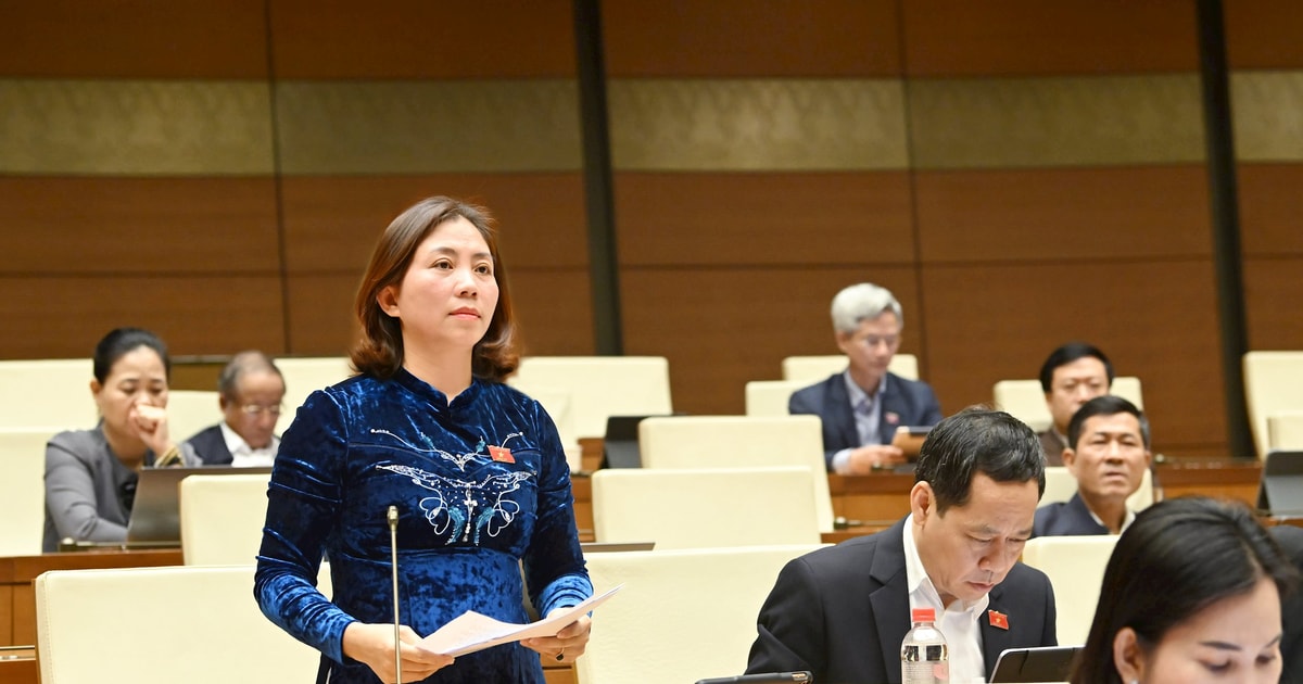 Đại biểu Quốc hội đoàn Nghệ An thảo luận về việc tích hợp 3 Chương trình Mục tiêu quốc gia