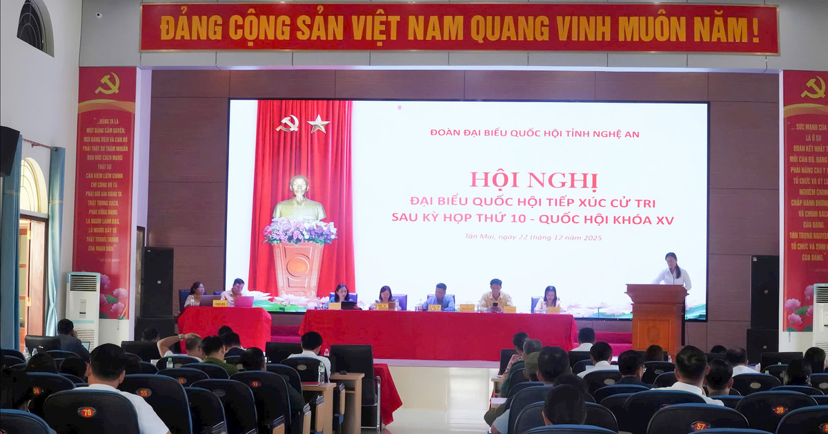 Đại biểu Quốc hội tiếp xúc cử tri phường Tân Mai