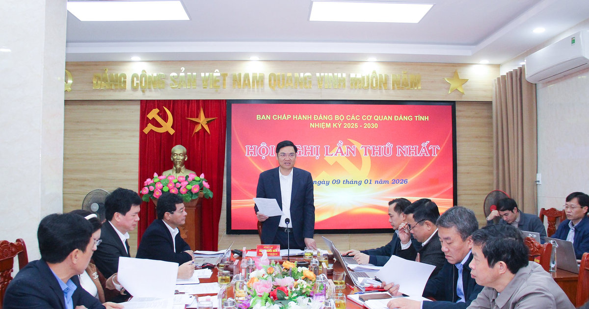 Tập trung xây dựng đội ngũ cán bộ, đẩy mạnh chuyển đổi số, cải cách hành chính trong Đảng bộ Các cơ quan Đảng tỉnh