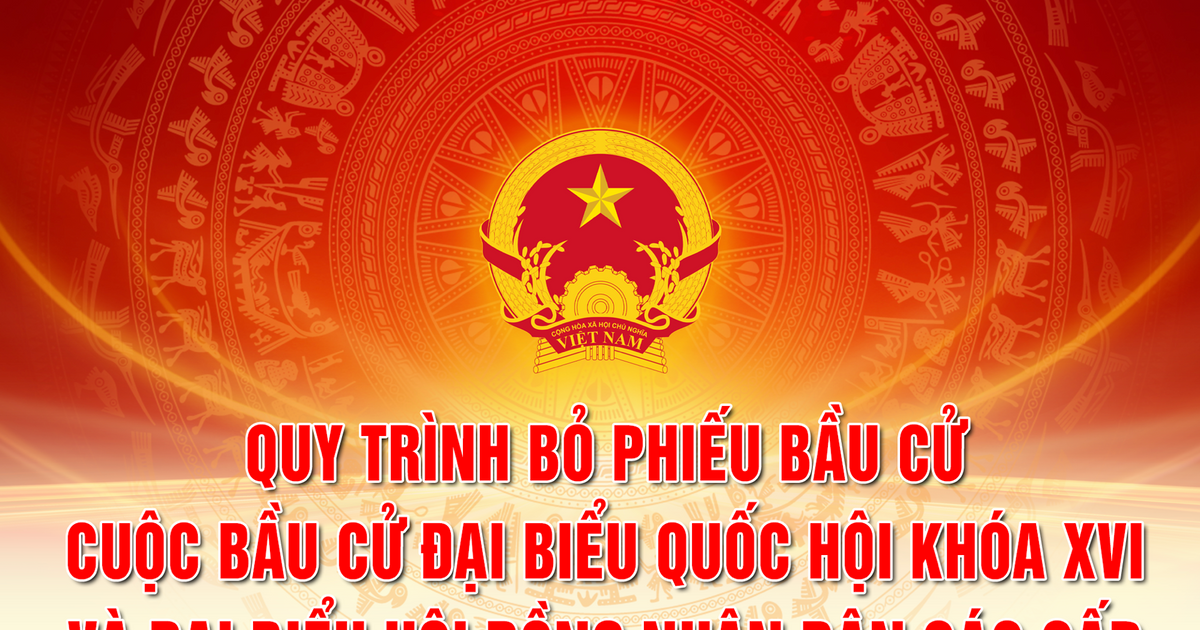 [Infographics] Cử tri cần biết: Quy trình bỏ phiếu bầu cử