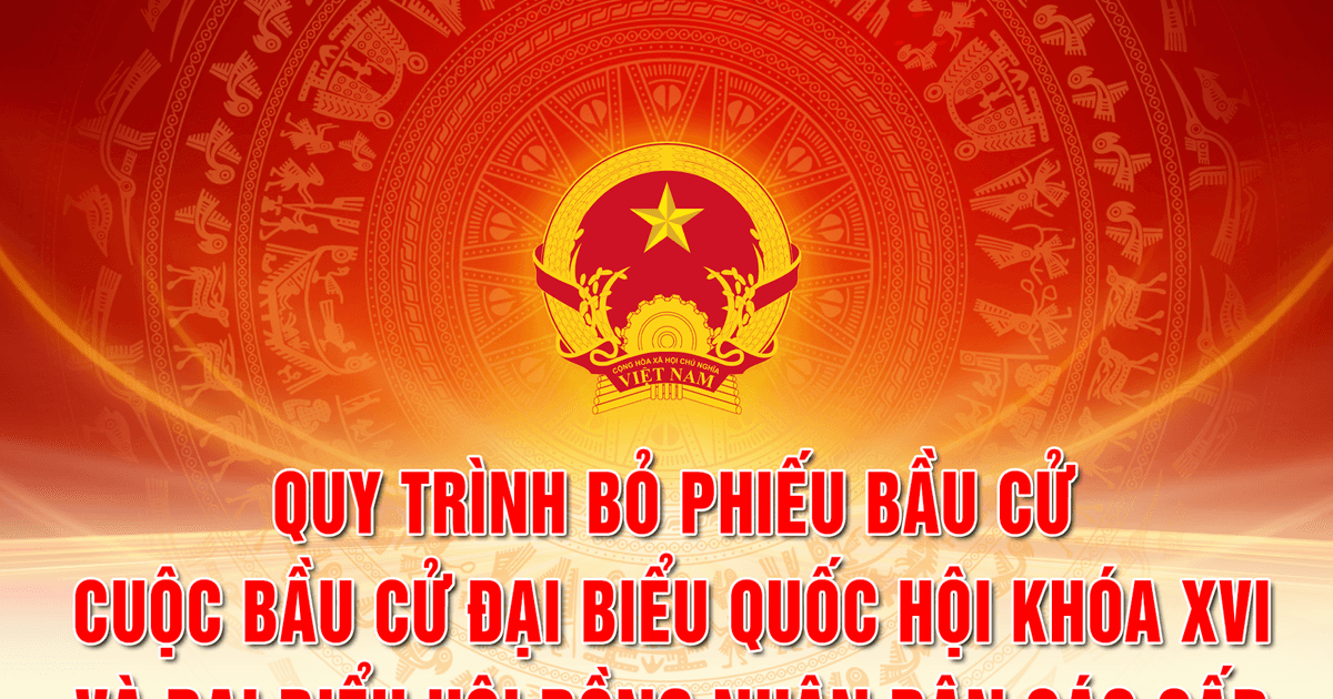 [Infographics] Cử tri cần biết: Quy trình bỏ phiếu bầu cử