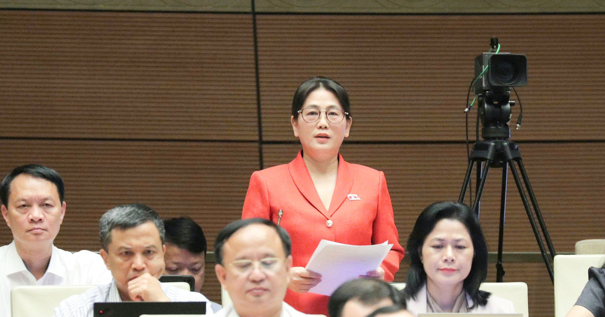 Tăng cường giám sát chất lượng giải quyết vụ việc, bảo vệ quyền và lợi ích hợp pháp của Nhà nước, tổ chức, cá nhân