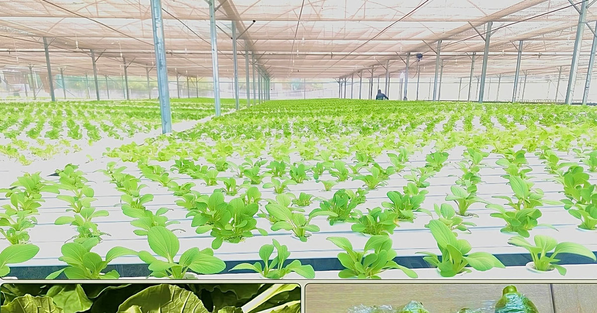 Gỡ nút thắt cho dòng vốn phục vụ nông nghiệp công nghệ cao