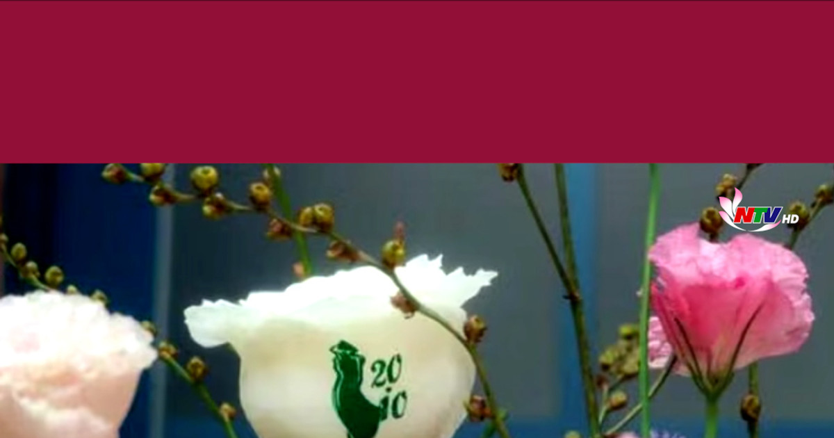 Ecuadorian roses and other floral arrangements with printed messages ...