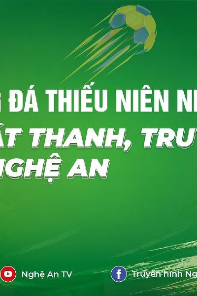 Giải bóng đá TN-NĐ Cúp Báo và PTTH Nghệ An