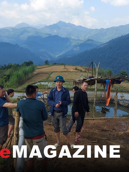 Yên Tĩnh lại có nguy cơ không yên?