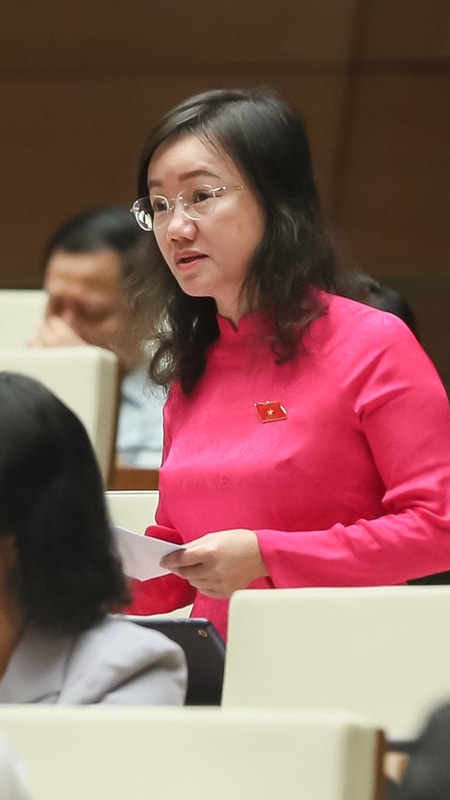 Đại biểu đoàn Nghệ An đề nghị Quốc hội cho phép kéo dài Dự án kè sông Nậm Mộ qua thị trấn Mường Xén, huyện Kỳ Sơn sang năm 2024