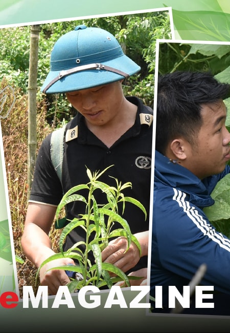 Khát vọng tạo sinh kế cho dân bản của những 9X vùng cao