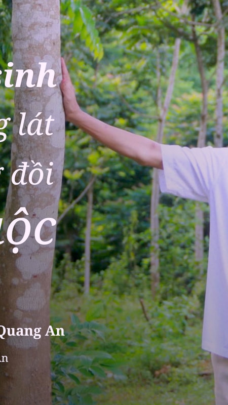 Người hồi sinh rừng lát trên vùng đồi Tùng Duộc