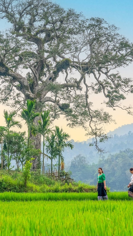 Về miền Tây xứ Nghệ khám phá vùng lõi của văn hóa Phủ Quỳ