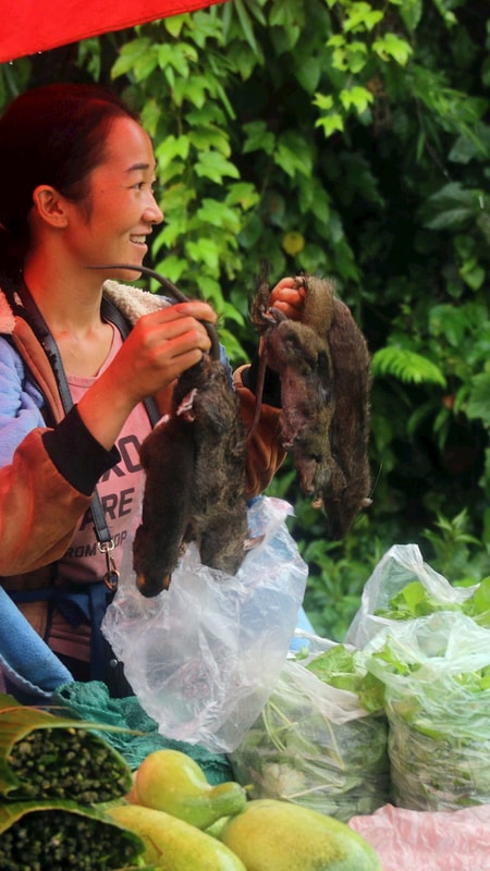 Chen chân đến chợ biên Việt - Lào mua chuột núi, rau rừng về ăn Tết Độc lập