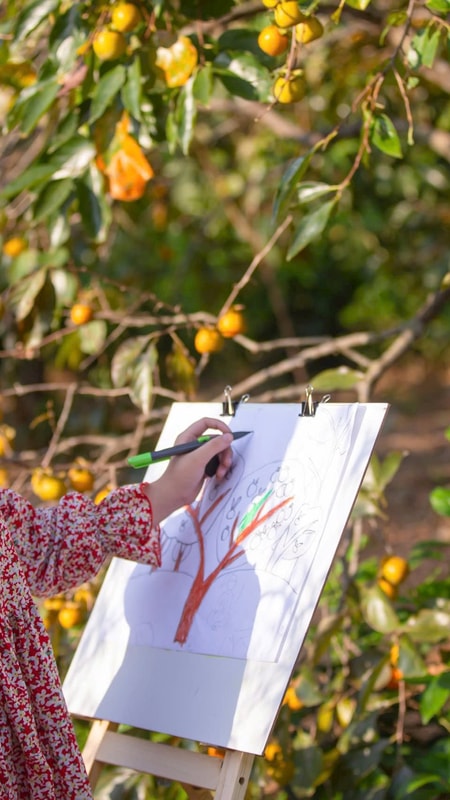 Vườn hồng cổ thụ ở Nam Đàn ‘hút’ khách dịp cuối Thu