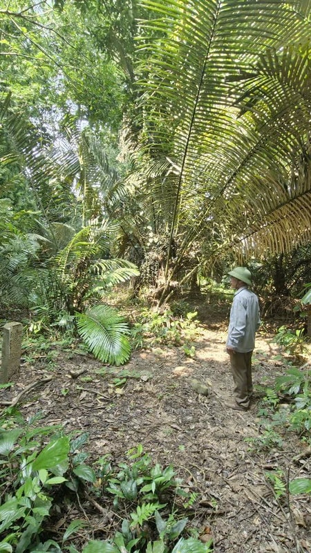 Nguyện vọng của dân bản Kẻ Khoang