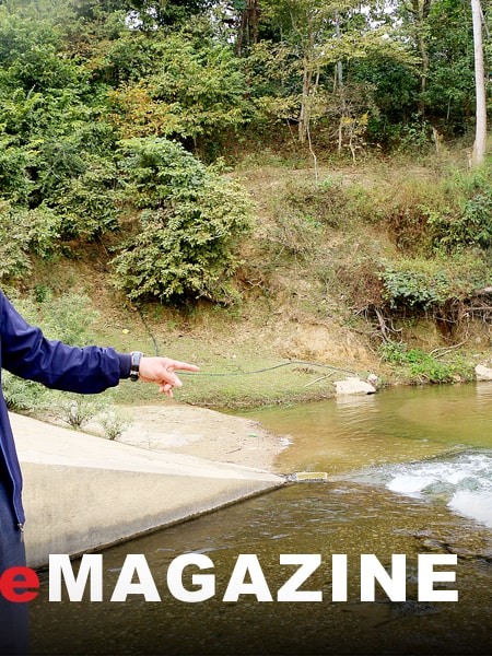 Chuyện về “rái cá” bản Lìm