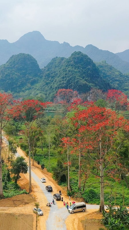 Lễ hội Hoa gạo ở Anh Sơn thu hút hàng ngàn người tham gia