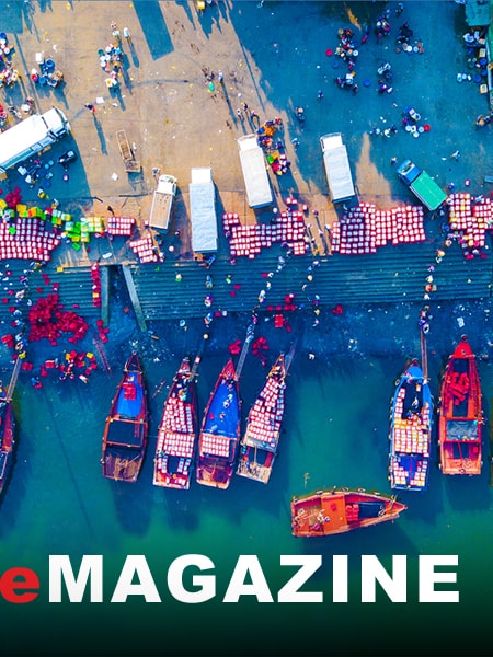 Bình yên "trên bến, dưới thuyền" ở xã biển