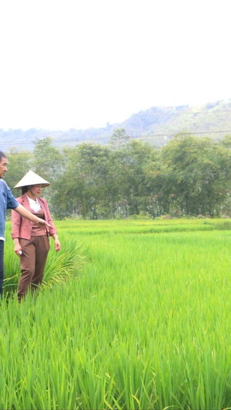 'Thủ lĩnh' nhà nông khéo việc bản, giỏi việc dân