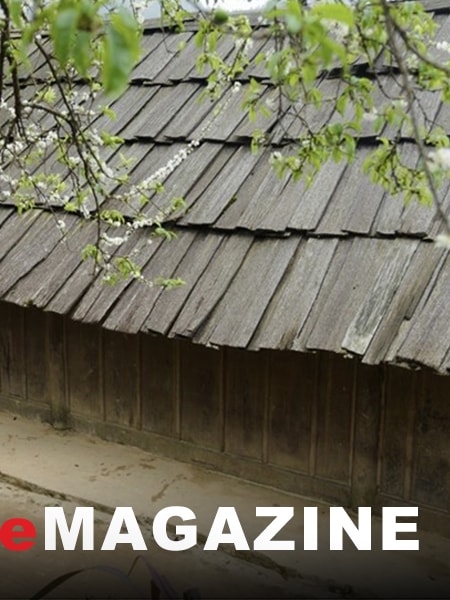 Trăm năm mái cổ sa mu