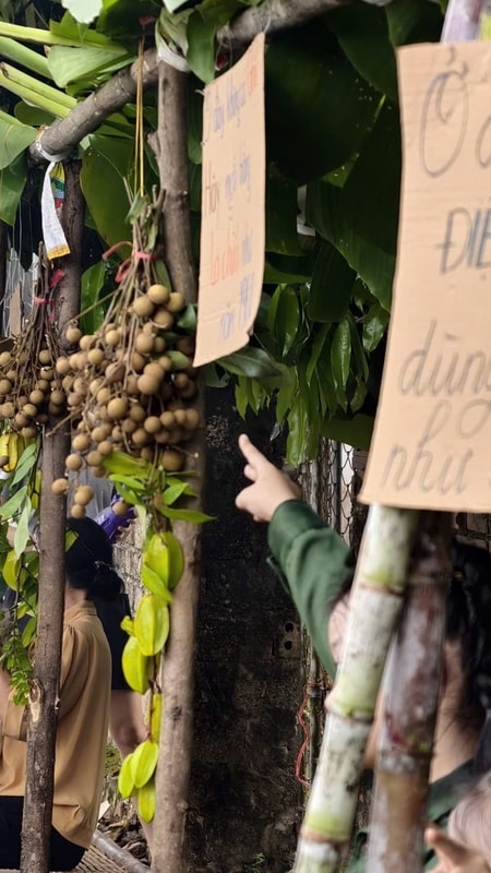 Độc đáo phiên chợ '1 nghìn đồng' cho trẻ em trải nghiệm chợ quê thời ông bà