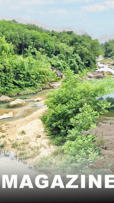 Kiến nghị ‘lạ’ và sự thật ở Tiên Đồng