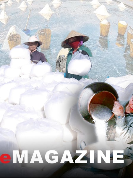 Những diêm dân thế hệ mới