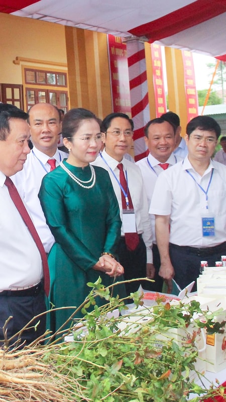 Đại hội Đại biểu Đảng bộ xã Bích Hào lần thứ I, nhiệm kỳ 2025 - 2030