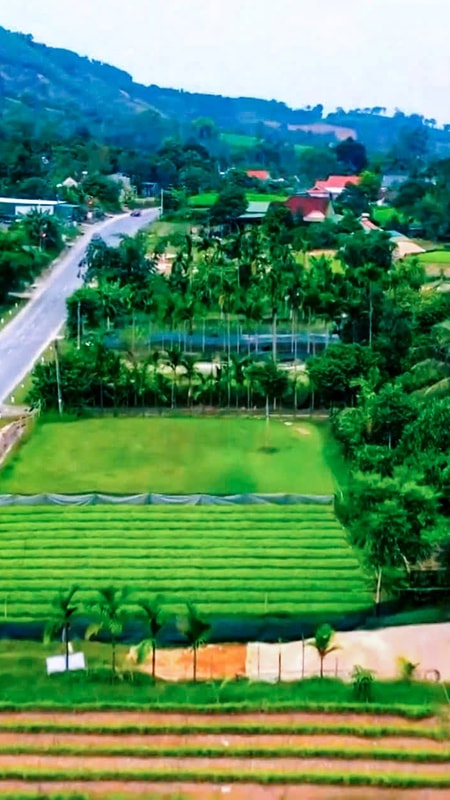 Xã Tam Đồng và hành trình vươn lên nông thôn mới kiểu mẫu