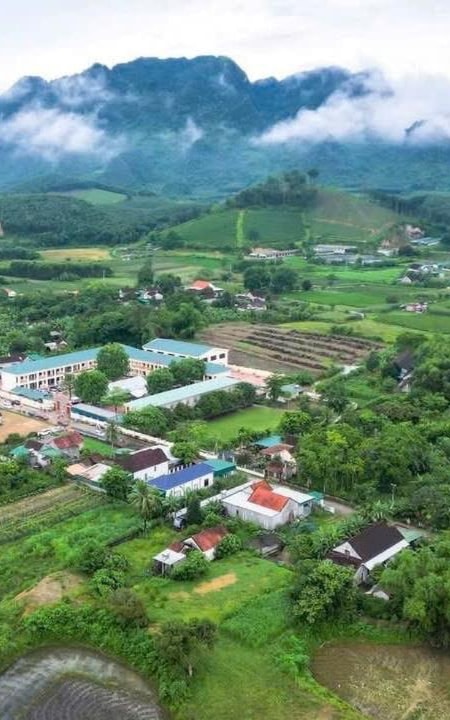 Diện mạo mới Nhân Hòa...