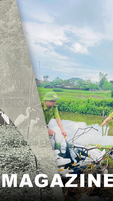 Đấu tranh nạn săn bắt chim trời: Đã tạo chuyển biến tích cực