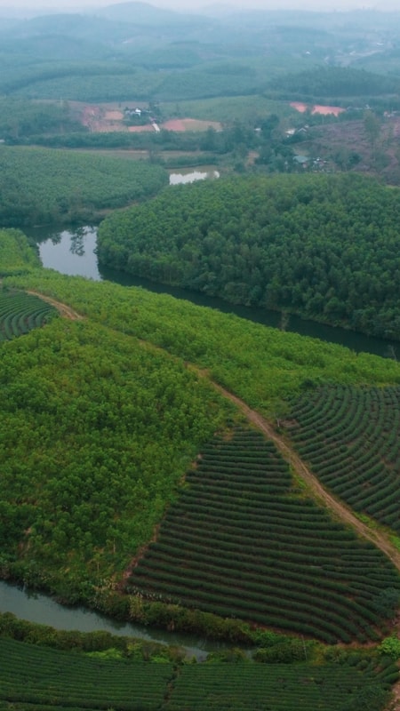 Lãnh đạo xã Hoa Quân nói gì về Dự án du lịch nghìn tỷ Đảo chè Cầu Cau mãi vẫn nằm trên giấy?