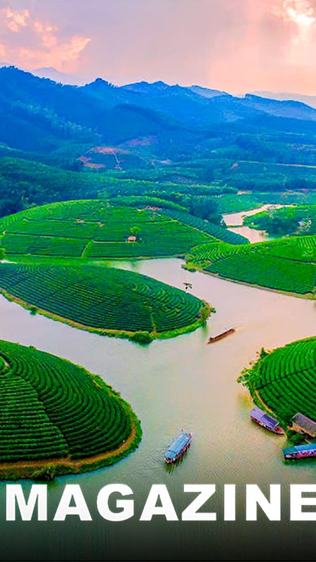 Đảo chè Cầu Cau - Viên ngọc xanh bao giờ phát sáng?