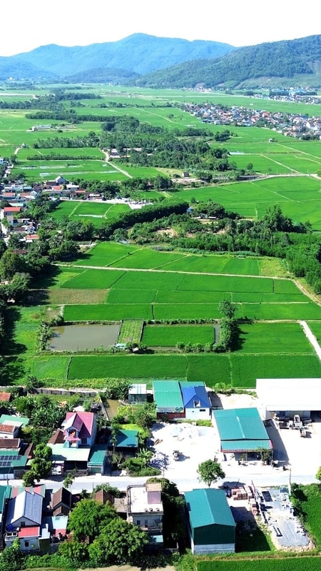 Tập trung hoàn thiện thủ tục để triển khai các vị trí tái định cư dự án đường sắt tốc độ cao