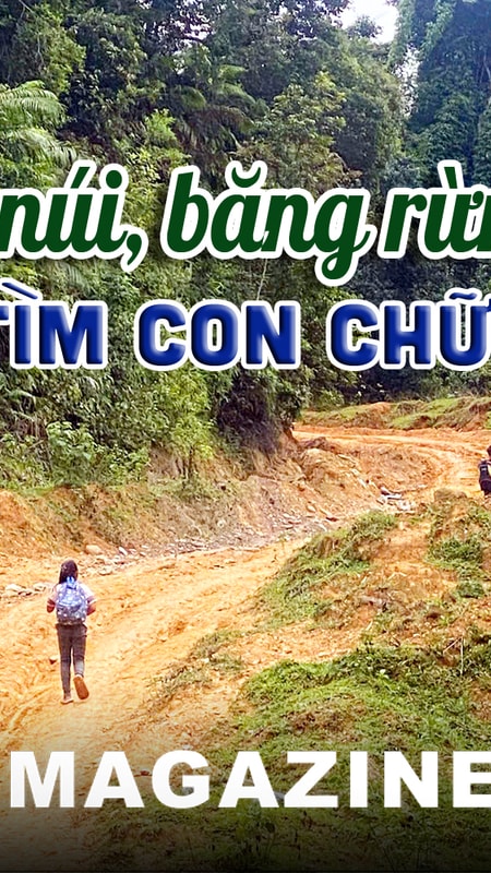 Thắp sáng khát vọng tri thức nơi biên giới: Kỳ 1: Vượt núi, băng rừng tìm con chữ