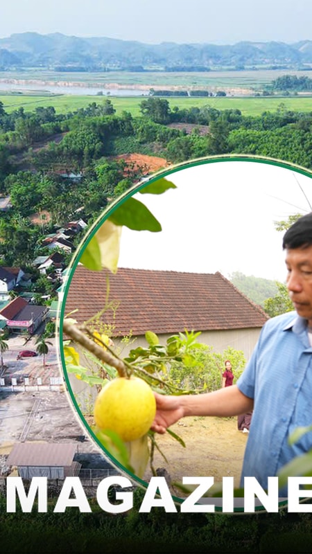 Trưởng thôn tiên phong đổi mới, mở lối làm giàu