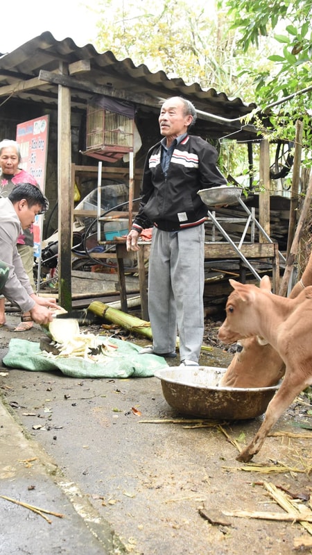 Mở hướng thoát nghèo từ chuyển đổi cây trồng ở Nghệ An