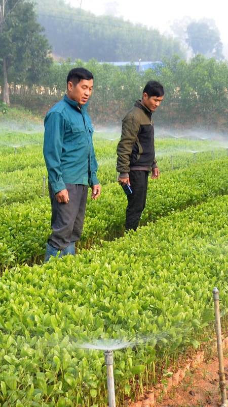 Nông dân đầu tư hệ thống tưới thông minh