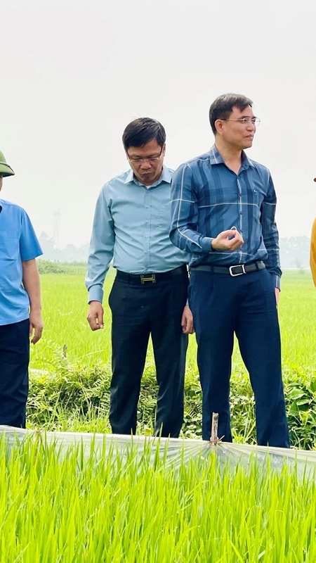 Khuyến nông Nghệ An với các mô hình an toàn sinh học