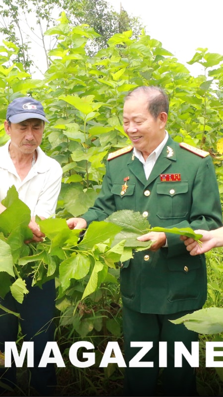Giấc mơ tơ tằm
