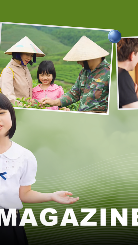 Cô bé lớp 3 “siêu ngoại ngữ” mang câu chuyện đảo chè Nghệ An ra thế giới