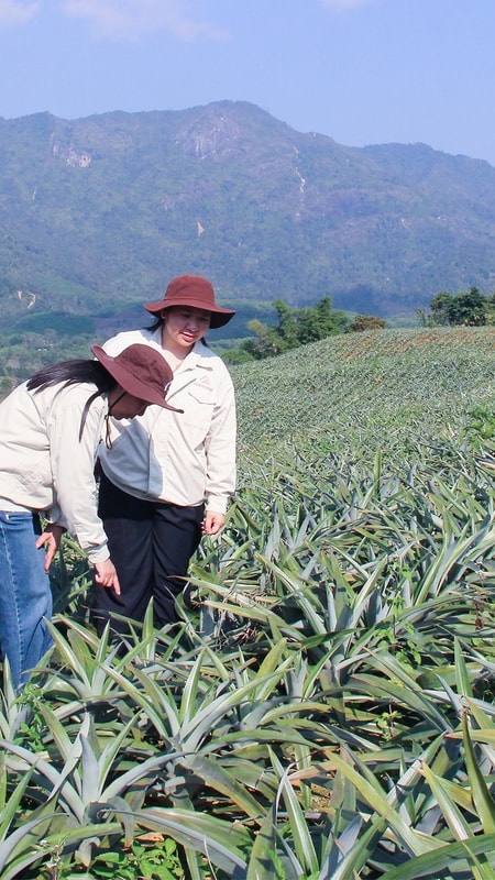 Nông nghiệp tuần hoàn – Giải pháp hiệu quả giữa bão giá đầu vào