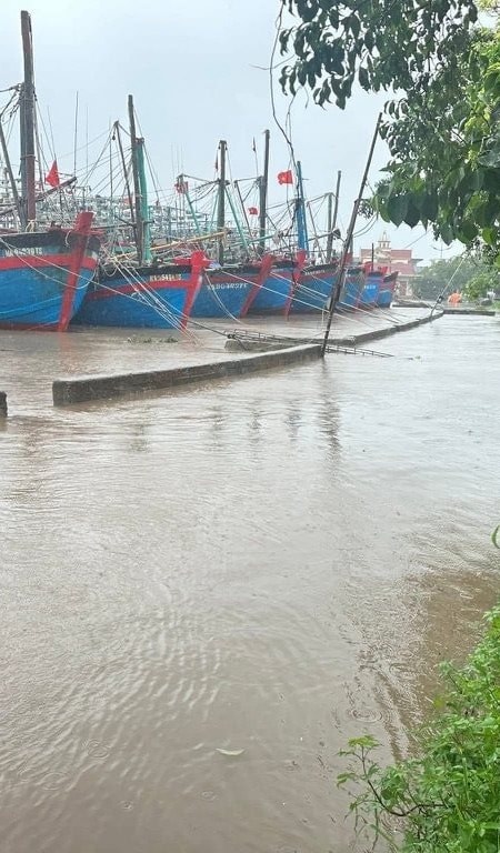 Khẩn trương gia cố công trình đê kè biển, trước mùa mưa bão