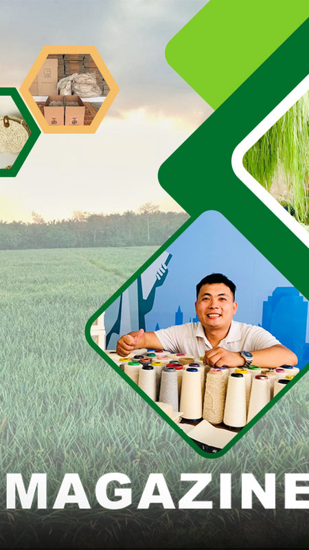 Kỹ sư "gàn dở" biến thứ lá bỏ đi thành hàng xuất khẩu