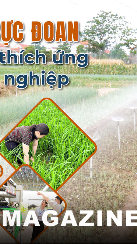 Kỳ 3: Những mô hình thích ứng với hạn hán