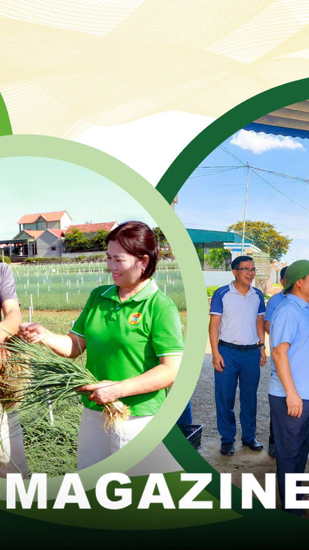 Nông dân tiên phong mở lối làm giàu ở Quỳnh Anh