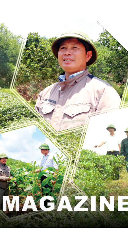 Người lính 'đánh thức' đồi hoang, biến đất cằn thành trang trại xanh