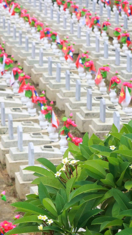 Mùa hoa tri ân ở nghĩa trang mang tên 2 quốc gia