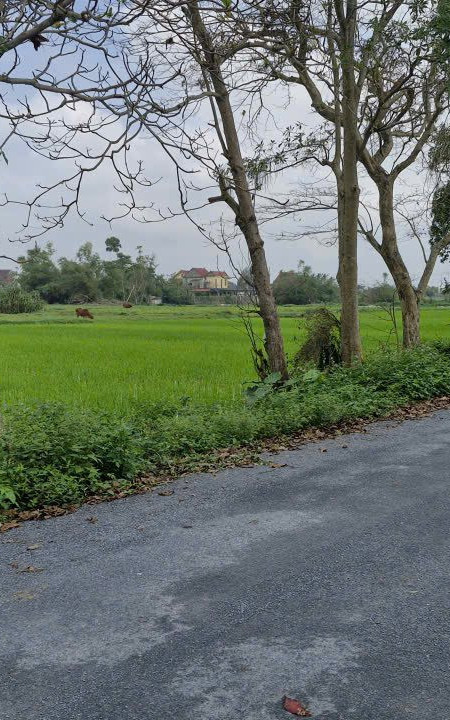 Hơn 10 năm chờ hoàn thiện hạ tầng khu tái định cư