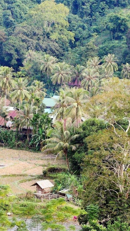 Khẩn trương lên phương án đảm bảo an toàn cho người dân vùng lũ quét, sạt lở đất